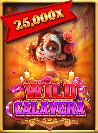 xt888